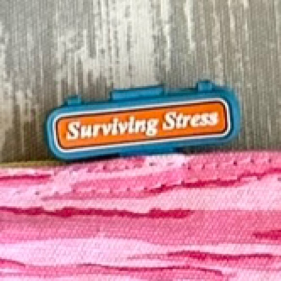 Anne Ormsby Canvas Tote - Picture 9 of 10